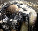 たけのこのアク抜き作り方5写真