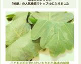 こどもの日に作りたい♥もちもち基本の柏餅作り方11写真