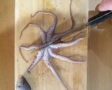 【下処理】イイダコ作り方4写真