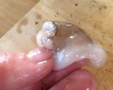 【下処理】イイダコ作り方6写真