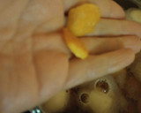 里芋の含め煮♪冷凍里芋使用で楽チン♡作り方4写真