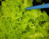 なめこととろろの抹茶おろしそば☆作り方3写真