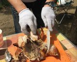 ビア缶チキンだっ!作り方8写真