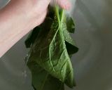 ほうれん草の茹で方作り方1写真