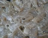 簡単・糖質制限!蒟蒻カレー粉!作り方5写真