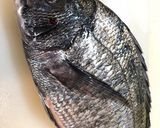お刺身イタリアン♧スズキのカルパッチョ作り方7写真
