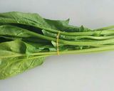 ほうれん草の茹で方作り方3写真