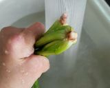 ほうれん草の茹で方作り方2写真