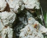 大葉たっぷり*さっぱりチキンメンチ作り方6写真