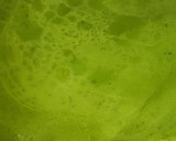 至福のひととき♪濃厚抹茶のミルクレープ作り方1写真