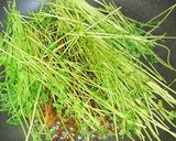 豆苗のたまご炒め作り方3写真