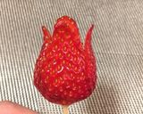 苺の飾り切り チューリップ作り方6写真