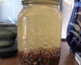 レーズンの天然酵母(^O^)作り方1写真