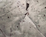 黒豆 一晩漬けてから煮るので失敗なし作り方4写真