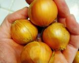 食べる野菜スープ。ミネストローネ。作り方1写真