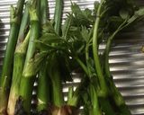 山独活の下処理と天ぷら・酢味噌和え作り方1写真