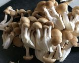 やわらか!鶏胸肉の炒めもの作り方3写真