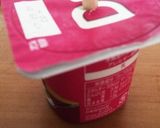 材料一つだけ！ヨーグルトアイス作り方3写真