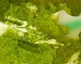 抹茶づくし☆生チョコマカロン♪作り方2写真