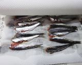 酢しょうがde小魚の甘酢漬け♪作り方3写真
