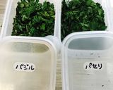 自家栽培パセリとバジルの保存方法作り方3写真