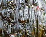 旬の魚の昆布締めで桜の押し寿司作り方3写真