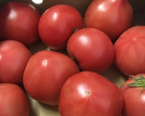 トマト皮むき 簡単作り方1写真
