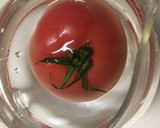 トマト皮むき 簡単作り方3写真