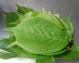 桜の葉の塩漬け作り方1写真
