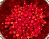 さくらんぼと小梅のお酒＊桜香る紅色梅酒作り方1写真