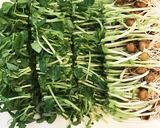 節約ヘルシー☆豆苗の梅ごまマヨネーズ作り方3写真