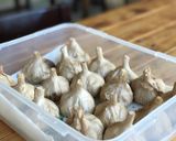 【2週間】炊飯器で作る！熟成黒にんにく作り方10写真