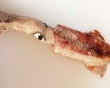 簡単！イカのさばき方 刺身でどうぞ作り方1写真