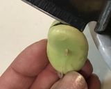そら豆の素揚げ(フライビーンズ)作り方2写真