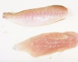 ウマヅラハギのおろし方作り方12写真