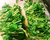 簡単♪豆苗のさっと煮♪作り方2写真