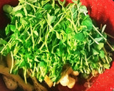 簡単♪豆苗のさっと煮♪作り方5写真