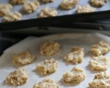 覚えやすい！簡単！グラノーラクッキー作り方7写真