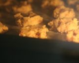 覚えやすい！簡単！グラノーラクッキー作り方9写真