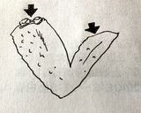 とと梅の名物*とり酢*なんちゃって作り方1写真