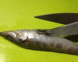 簡単♪メヒカリの唐揚げ作り方1写真