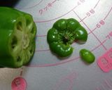 はらぺこあおむし♥てまり寿司作り方10写真