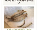 カタクチイワシの捌き方と、揚げ方作り方11写真