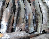 旬の魚の昆布締めで桜の押し寿司作り方19写真