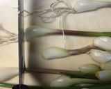 掘りたてラッキョウの醤油漬け作り方1写真