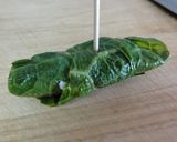 春巻（春の巻物）※ダジャレです^^;作り方6写真