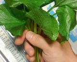 葉わさびの酢醤油漬け作り方1写真