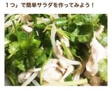 鶏胸肉のパクチーサラダ作り方4写真