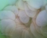 昆布が決め手の和風グラタン作り方5写真