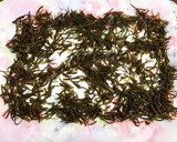 だしを取ったあとの昆布活用☆手作り塩昆布作り方5写真